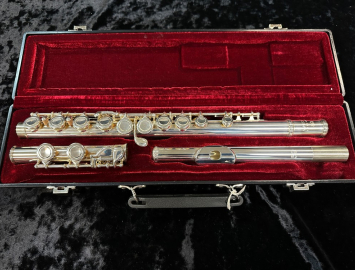 Photo Very Nice! Eastman EFL210 Flute in Silver Plate #14690405